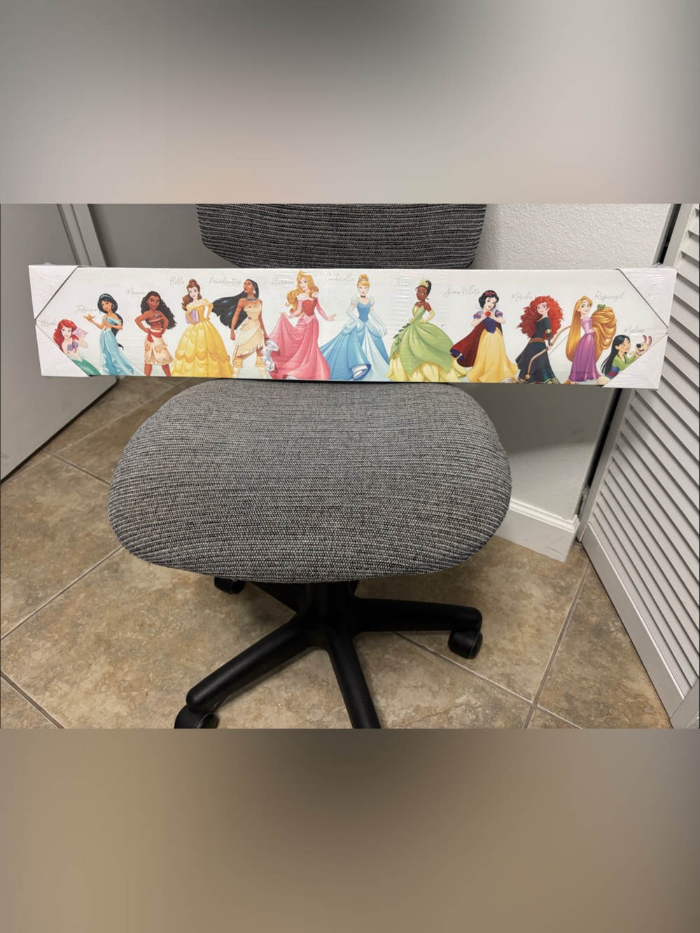 Disney Princess Canvas Panel - Pink, Yellow, Blue, Green